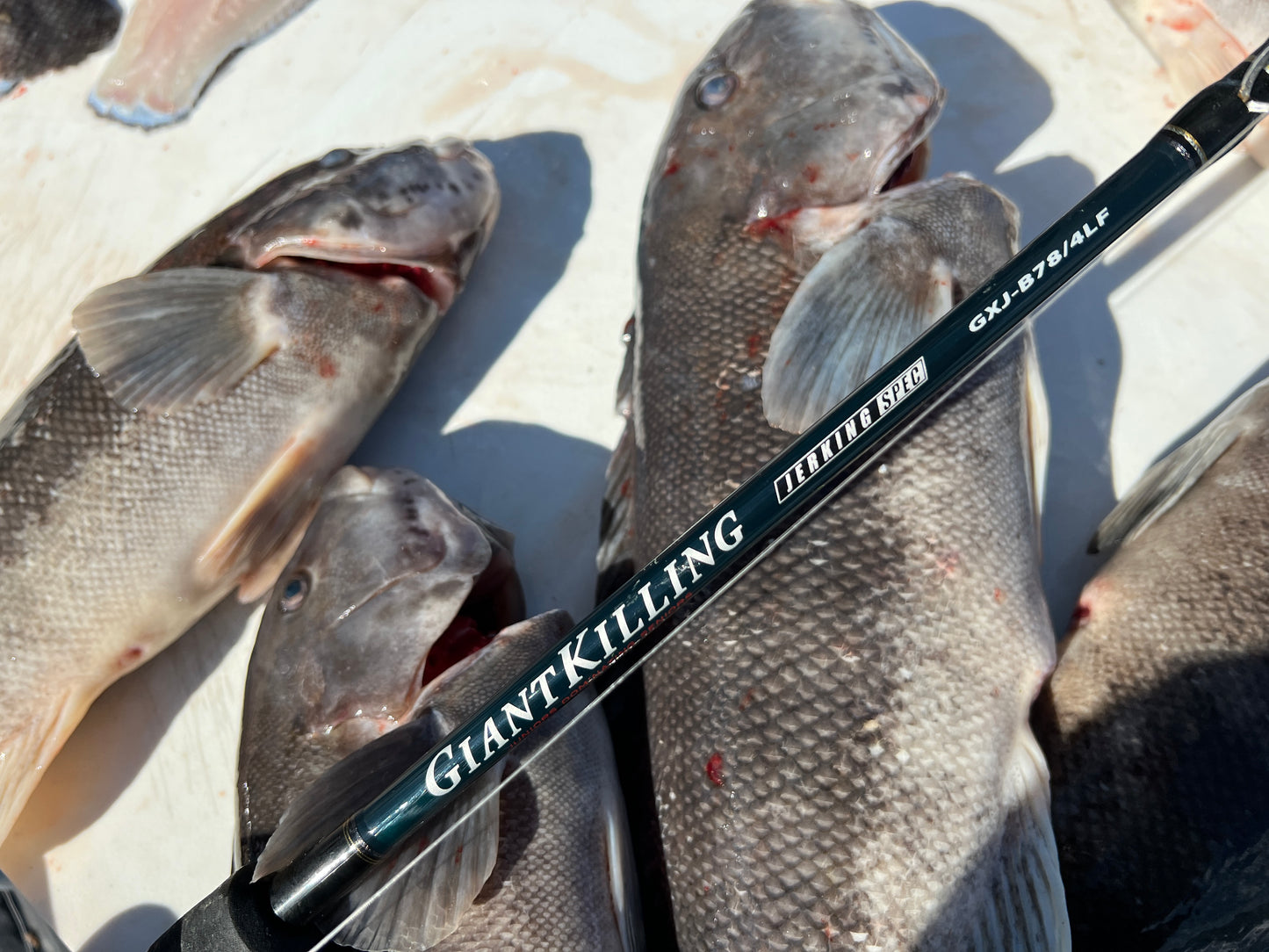 GIANT KILLING LONG FALL JIGGING