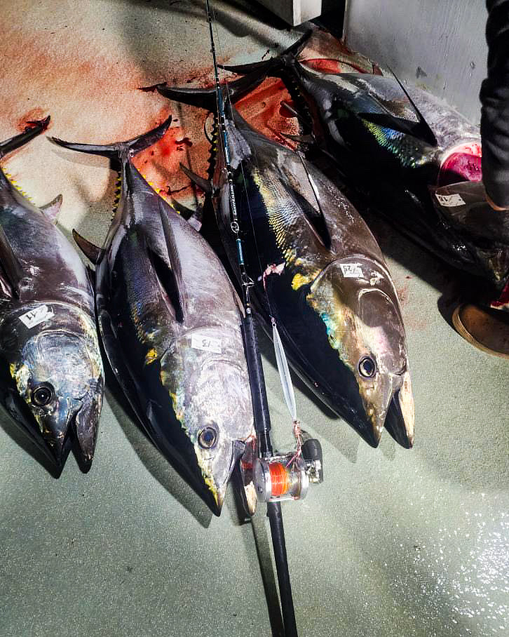 GIANT KILLING PG TUNA JIGGING