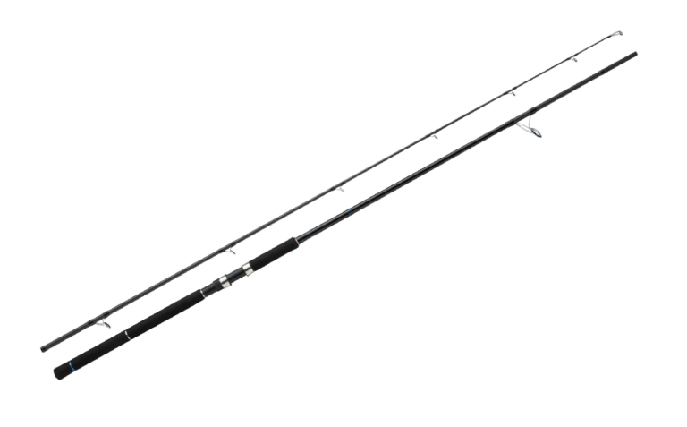 CEANA SHORE JIGGING